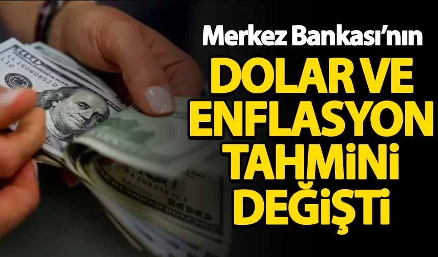 Merkez Bankas N N Dolar Ve Enflasyon Tahmini De I Ti Habervakti Son