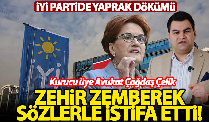 Y Parti De Yaprak D K M Zehir Zemberek S Zlerle Istifa Etti