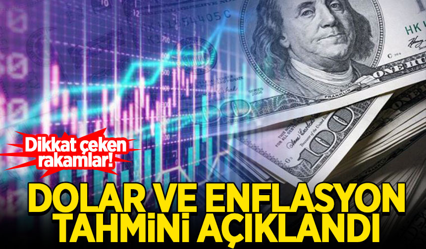 Merkez Bankas Dolar Ve Enflasyon Beklentisini A Klad Habervakti