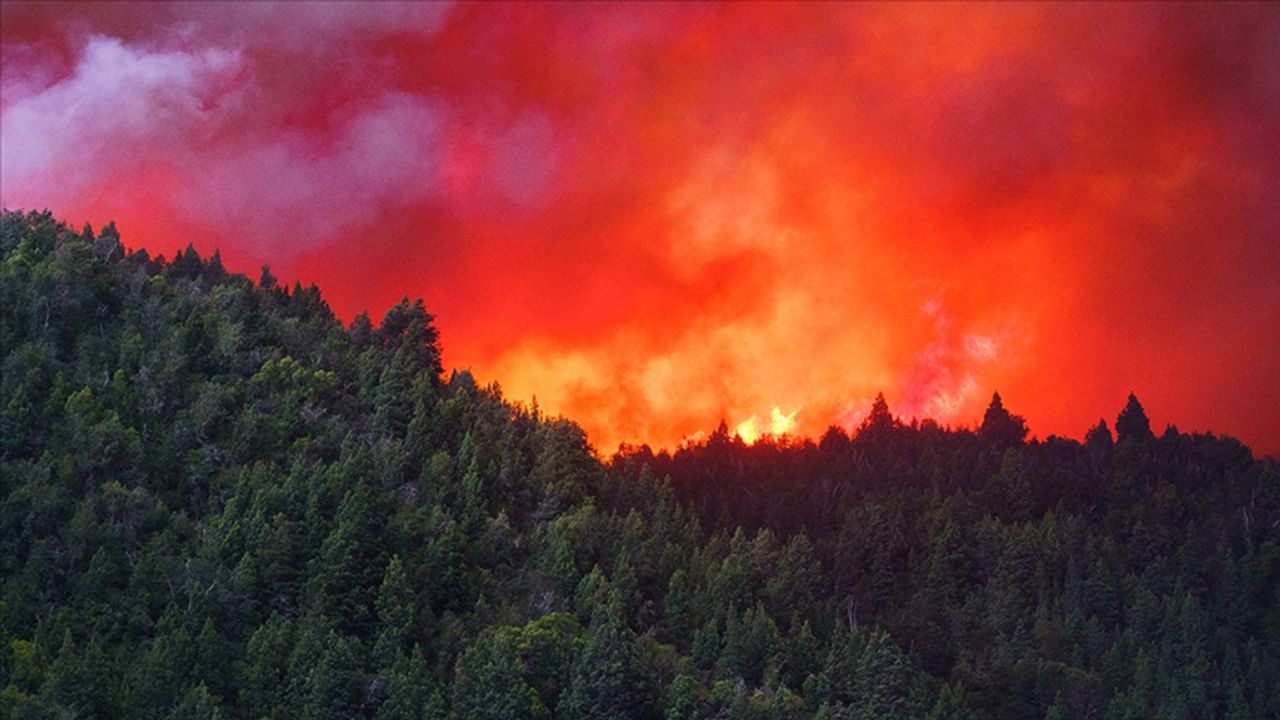Uşak'ta orman yangını söndürüldü