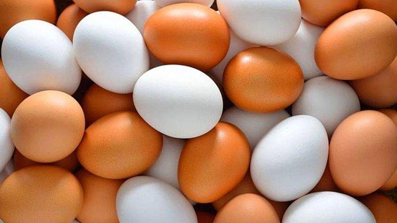 Rekabet Kurulu'ndan yumurtacılara soruşturma