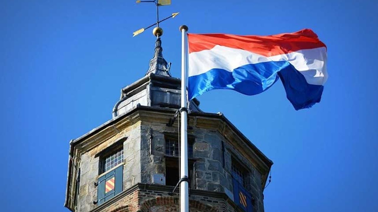 Hollanda'da 'deli dana' vakası görüldü