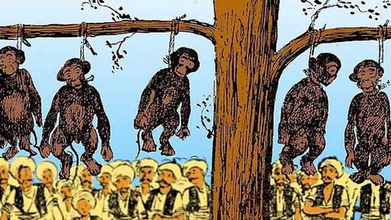 Tarihimizdeki garip vakalar: İstanbul'da maymunların idamı