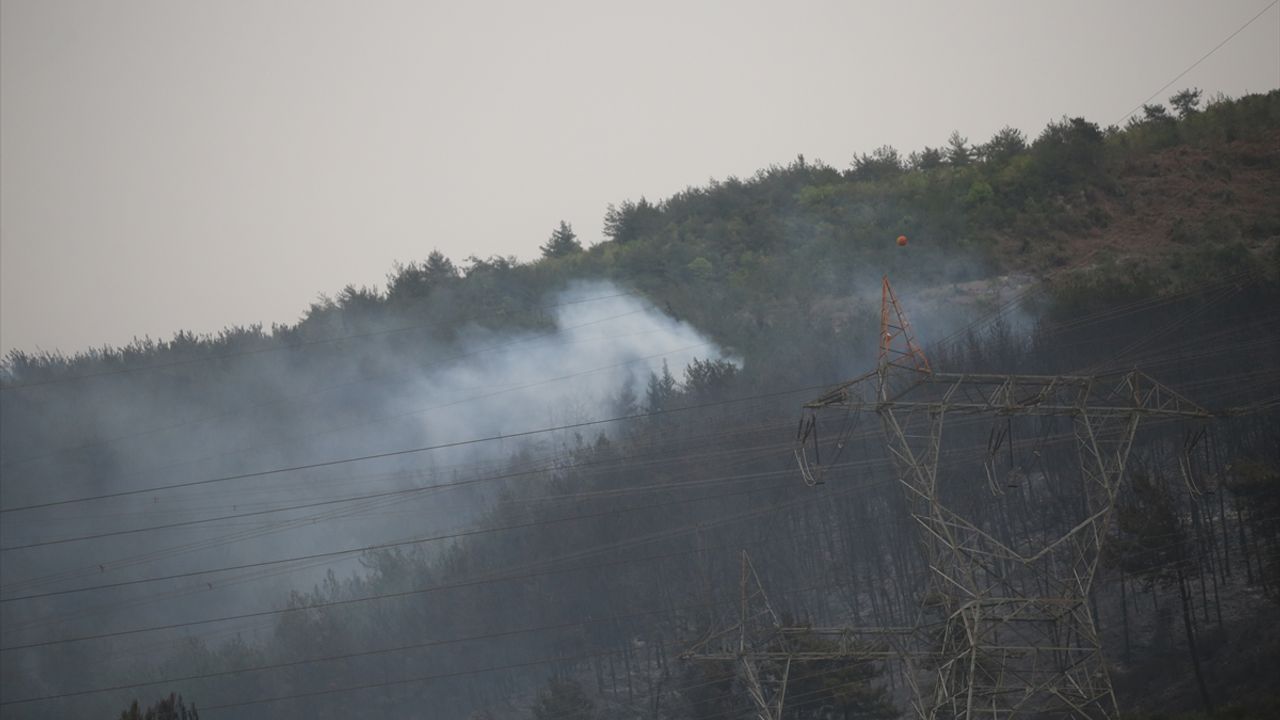 Hatay'da orman yangınlarına karşı anonslu uyarı