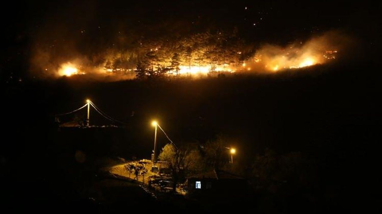Çanakkale'de korkunç yangın!