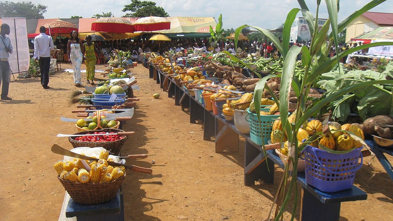 AB'den Gana'ya 44,7 milyon avroluk tarım kredisi