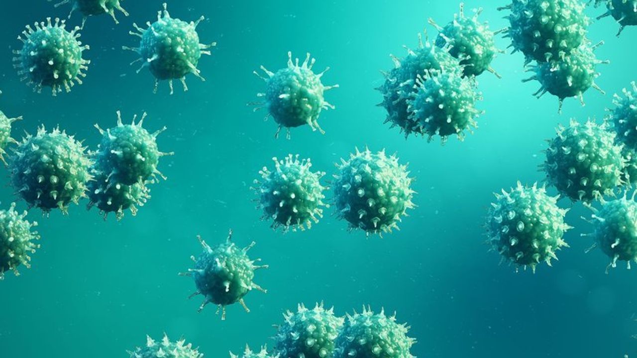 Gizemli hepatit virüsü Kanada'da da görüldü