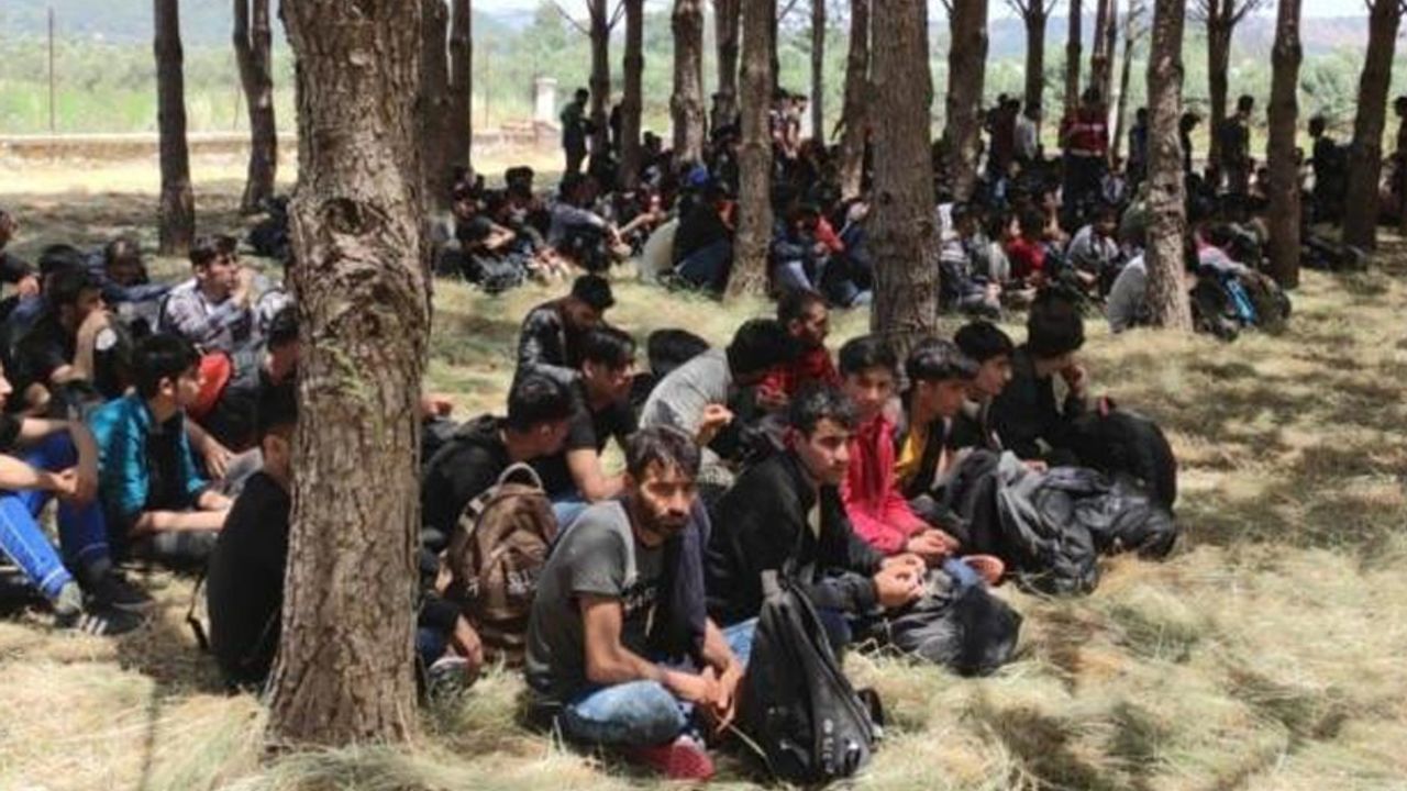 Muğla'da 237 düzensiz göçmen yakalandı
