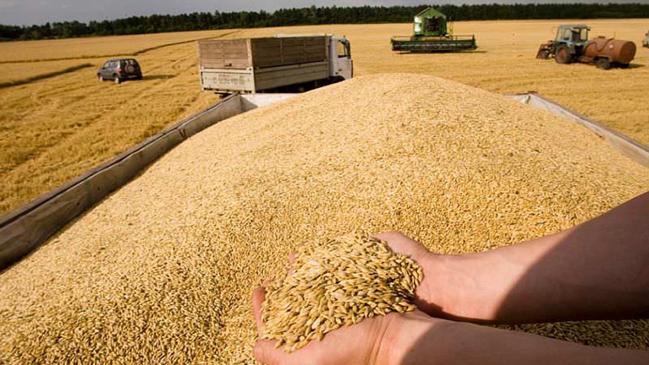 Zelenskiy: 22 milyon ton tahıl depolarda bekletiliyor