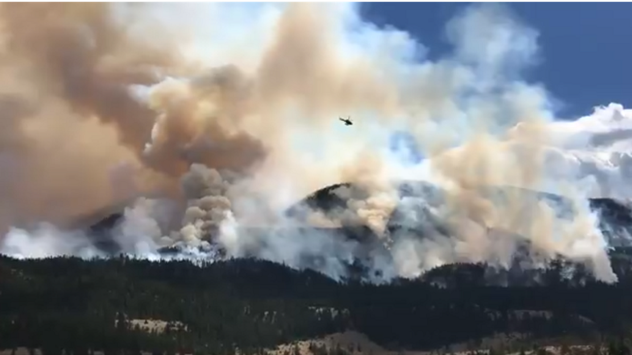 İtalya'nın batısındaki orman yangınında 120 kişi tahliye edildi