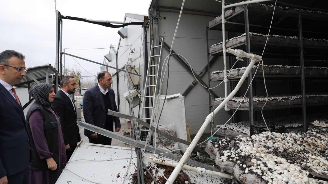 Sakarya Valisi, Düzce depreminde hasar gören binaların sayısını açıkladı