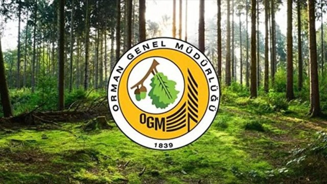 OGM 1128 sözleşmeli orman muhafaza memuru alacak
