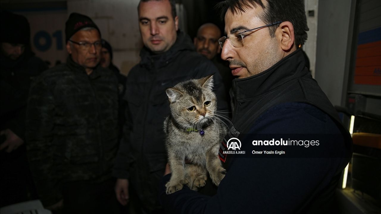 Diyarbakır'da ağır hasarlı siteden kurtarılan 2 kedi sahiplerine teslim edildi