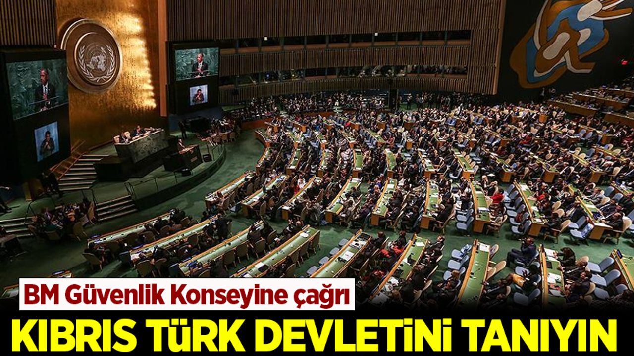 Türkiye'den BM Güvenlik Konseyine çağrı