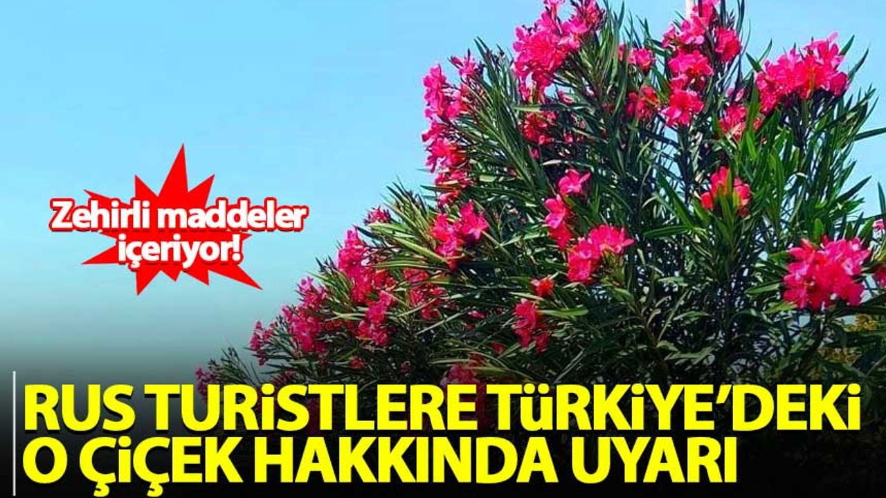 Rus turistlere Türkiye'deki o çiçek hakkında uyarı