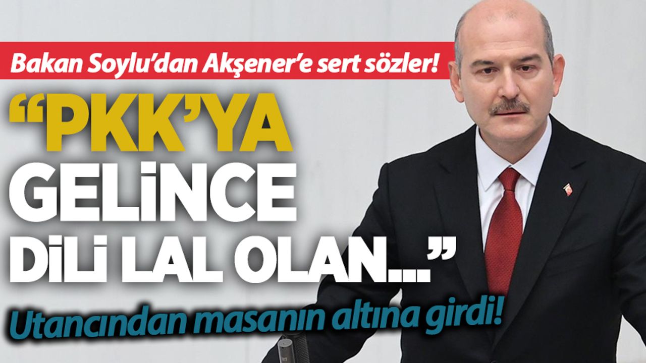 Bakan Soylu'dan Akşener'e Sert Sözler: PKK'ya Gelince Dili Lal Olan ...