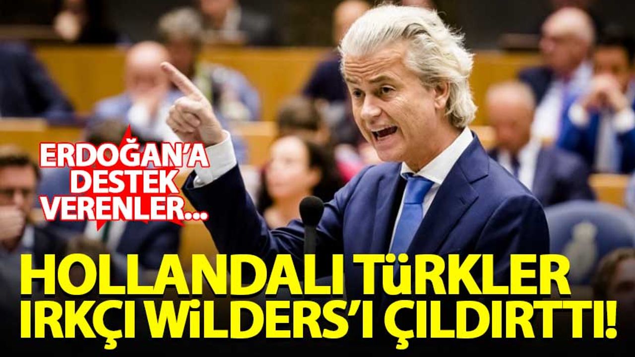 Hollandalı Türklerin, Erdoğan'a desteği ırkçı Wilders'ı çıldırttı