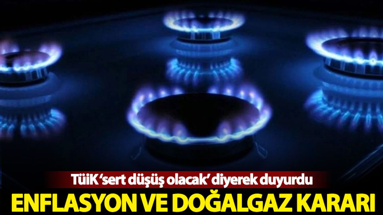 TÜİK'ten enflasyon ve doğalgaz açıklaması
