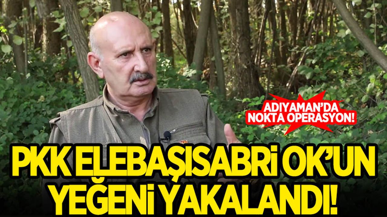 PKK elebaşlarından Sabri Ok'un yeğeni yakalandı!