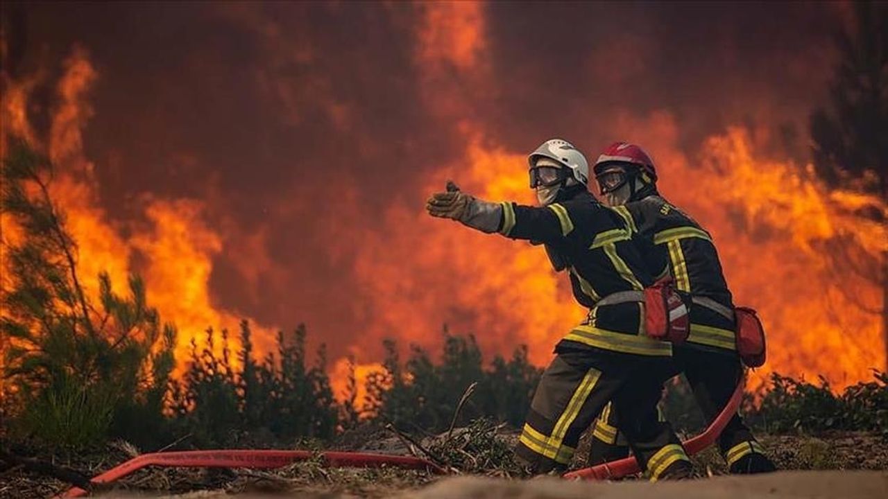 Fransa, 500 hektarlık orman yangınını halktan bildi: Sorumlusu sizsiniz!