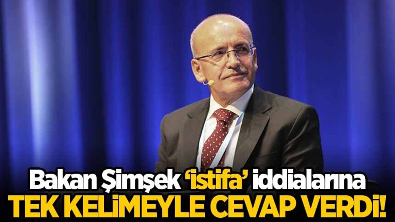 Bakan Şimşek'ten 'istifa' Iddialarına Tek Kelimelik Cevap! - Habervakti ...