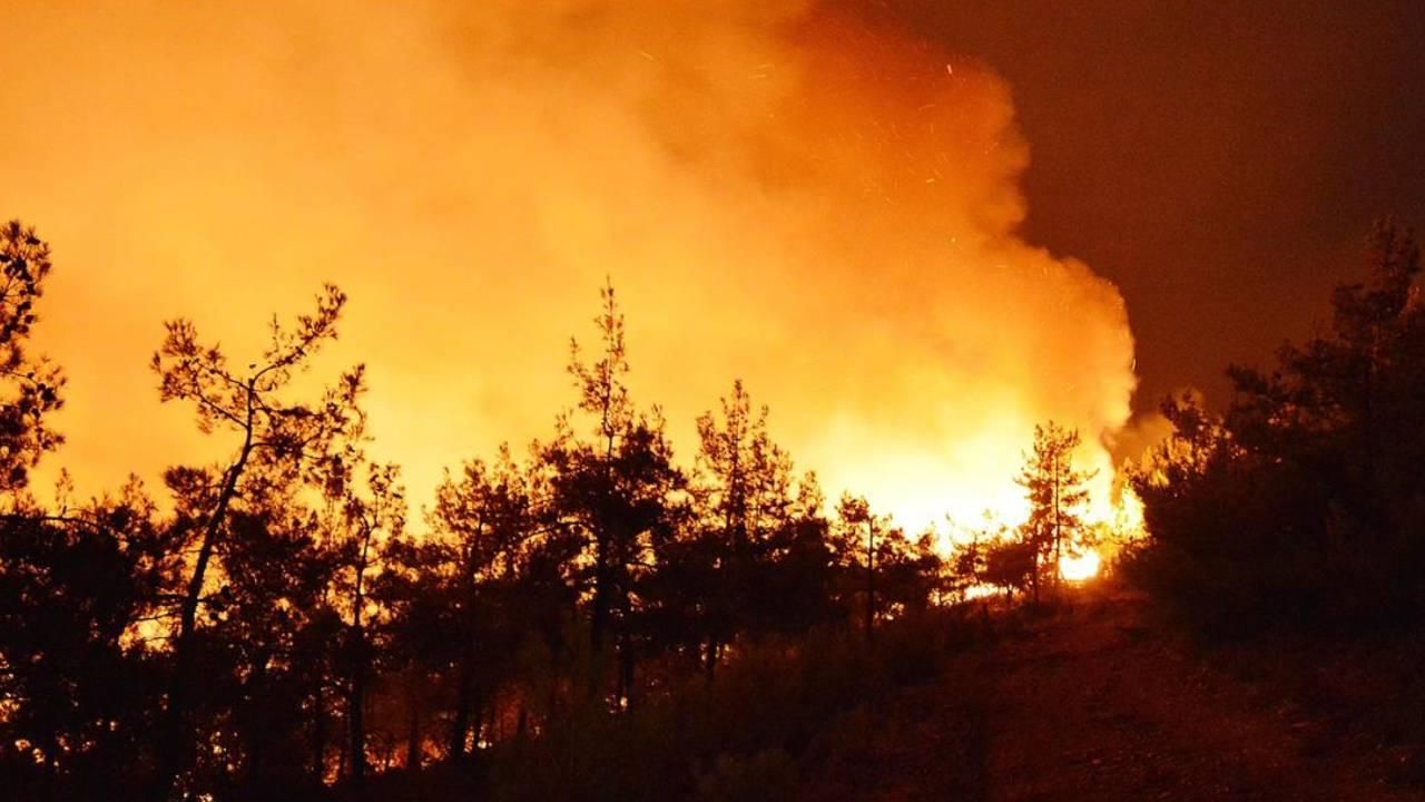 İran’da Merivan ormanlarında çıkan yangınları söndürme çalışmaları sürüyor