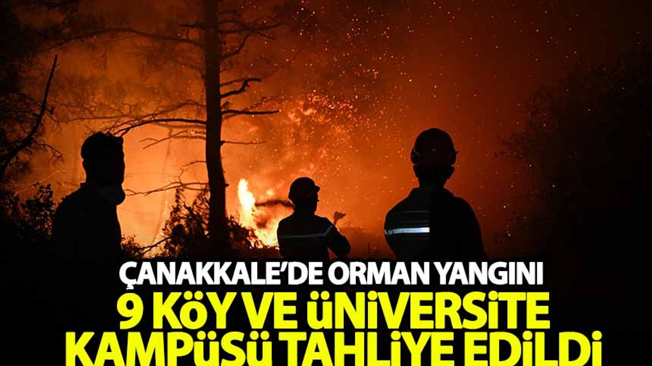 Çanakkale'de orman yangını! 10 köy ve üniversite kampüsü boşaltıldı!
