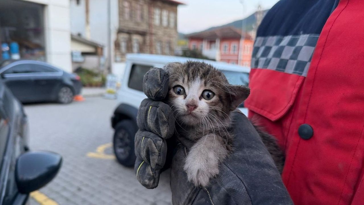 Sakarya'da otomobilin motor bölümünde sıkışan yavru kedi kurtarıldı