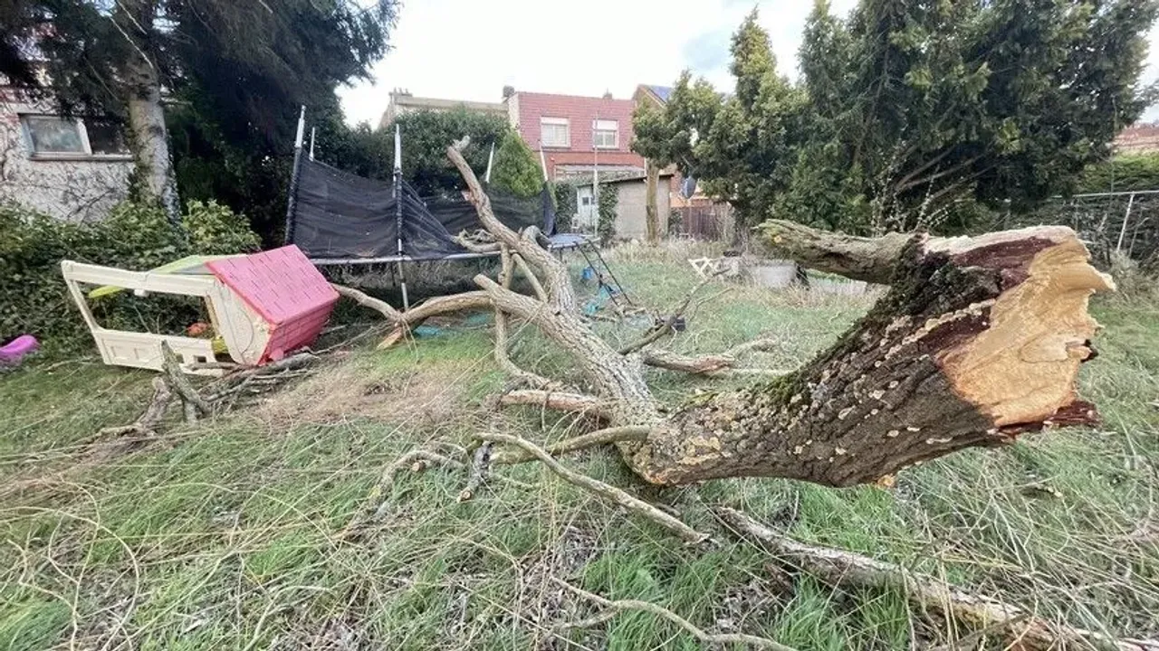 Belçika'da Austen Fırtınası'nın ardından Boelo Fırtınası bekleniyor