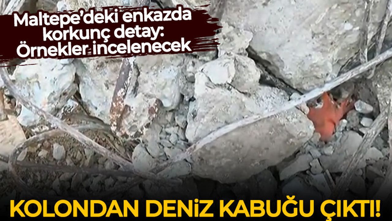 Maltepe’deki enkazda korkunç detay: Kolondan deniz kabuğu çıktı!