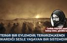 Cedide Köprülü yazdı: Sebep biter, gürültü kalır