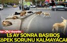 Bakan Çiftçi duyurdu: 1,5 ay sonra başıboş köpek sorunu kalmayacak