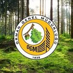 OGM, orman yangınlarından sonra yapılan çalışmaları açıkladı