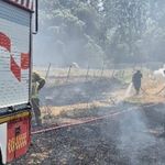 Bandırma’daki yangın büyümeden söndürüldü