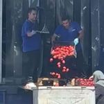 Bakanlıktan 'domateslerin çöpe dökülmesi' görüntülerine ilişkin açıklama