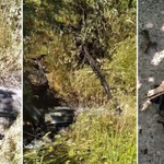 Kastamonu'nda evin bahçesine düşen İHA alev aldı