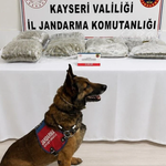 Kayseri'de 5 kilo esrarla yakalanan CHP'li Meclis üyesi tutuklandı