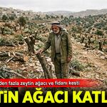 Siyonist israil'in 'Zeytin Ağacı Katliamı!'