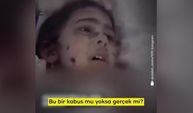'Bu bir kabus mu yoksa gerçek mi?'