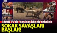 Sözcü TV'de 'başıboş köpek' tehdidi: Sokak savaşları başlar