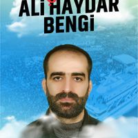 Ali Haydar Bengi