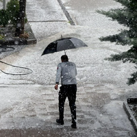 Hava