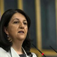 Siyaset