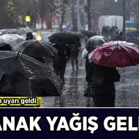 Hava