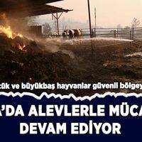 Muğla