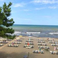 Ordu