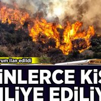 Dünya