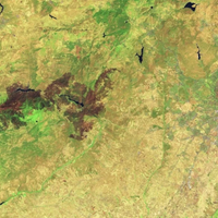 Dünya