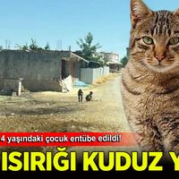 Diyarbakır
