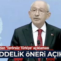 Siyaset